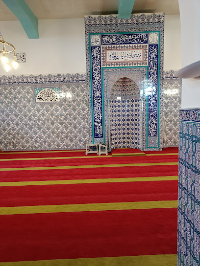 Mosquee Turque a Belfort Mosque in Belfort, France - Islamic Place of Worship